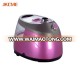 Stainless Steel panel design 2000W Professional Home Appliance Electric best vertical steam iron